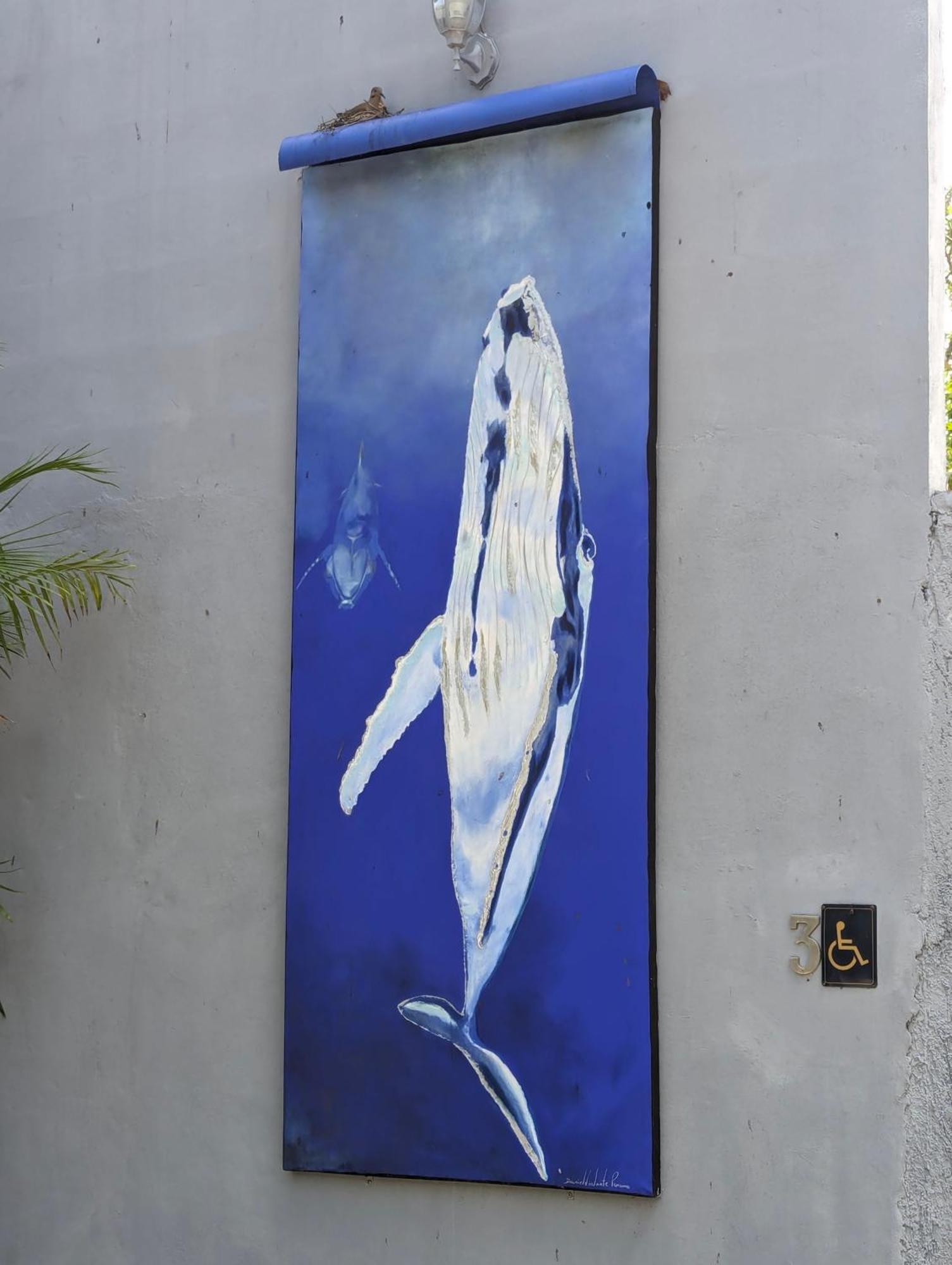The Blue Eco Lodge Valladolid  Exterior photo